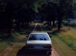 Audi 100 1976 года (WW)